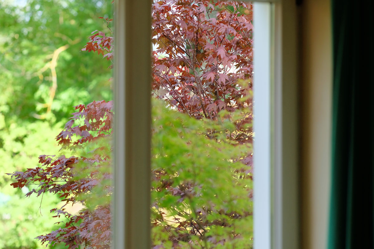 mikamoco lifestyle – Herbst 2017