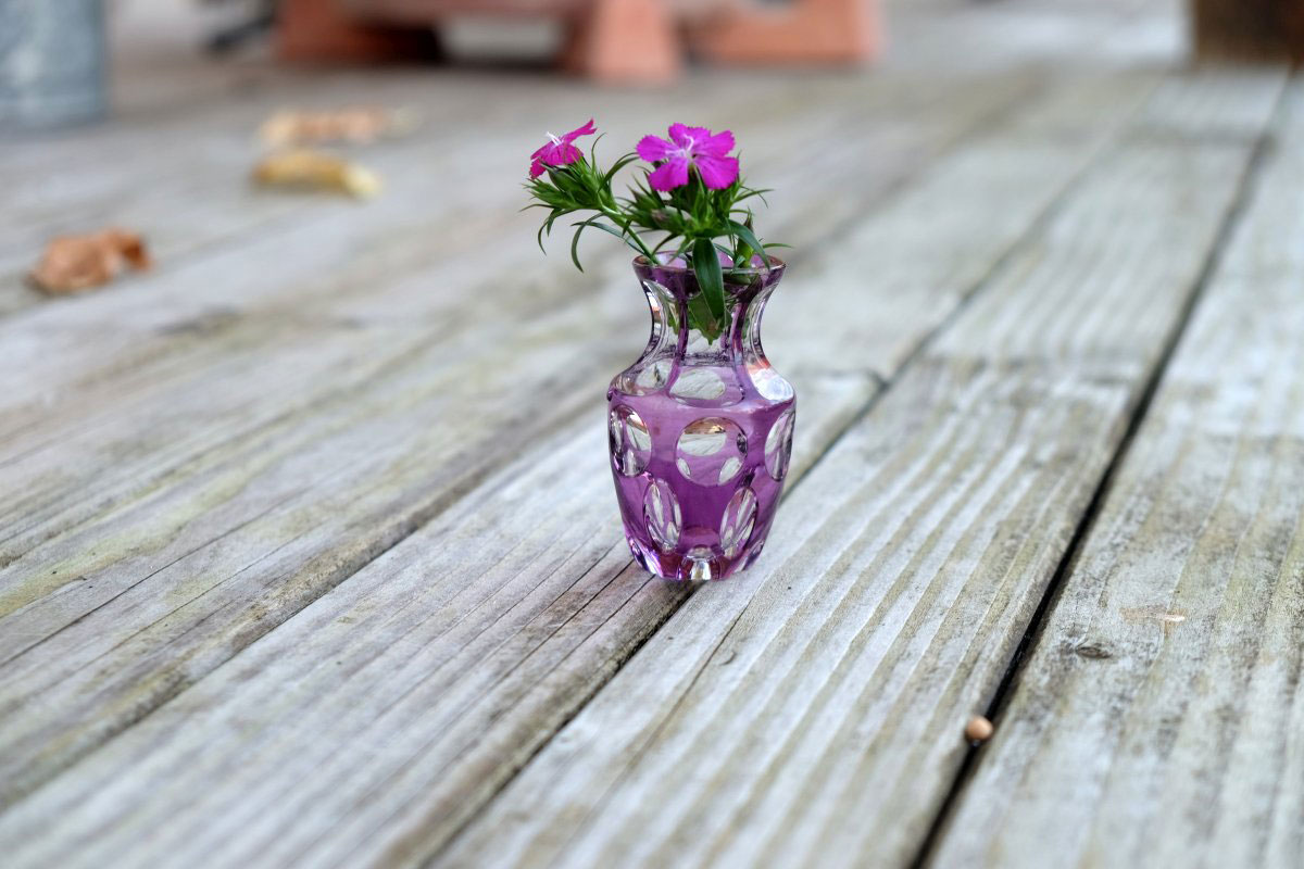 mikamoco lifestyle – Herbst 2017