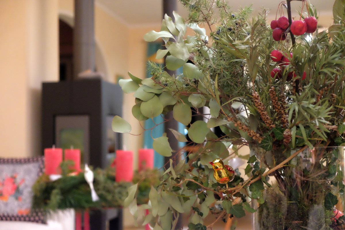 mikamoco lifestyle – Winter 2017